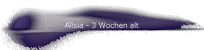 Alisia - 3 Wochen alt