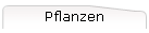 Pflanzen