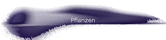 Pflanzen