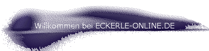 Willkommen bei ECKERLE-ONLINE.DE
